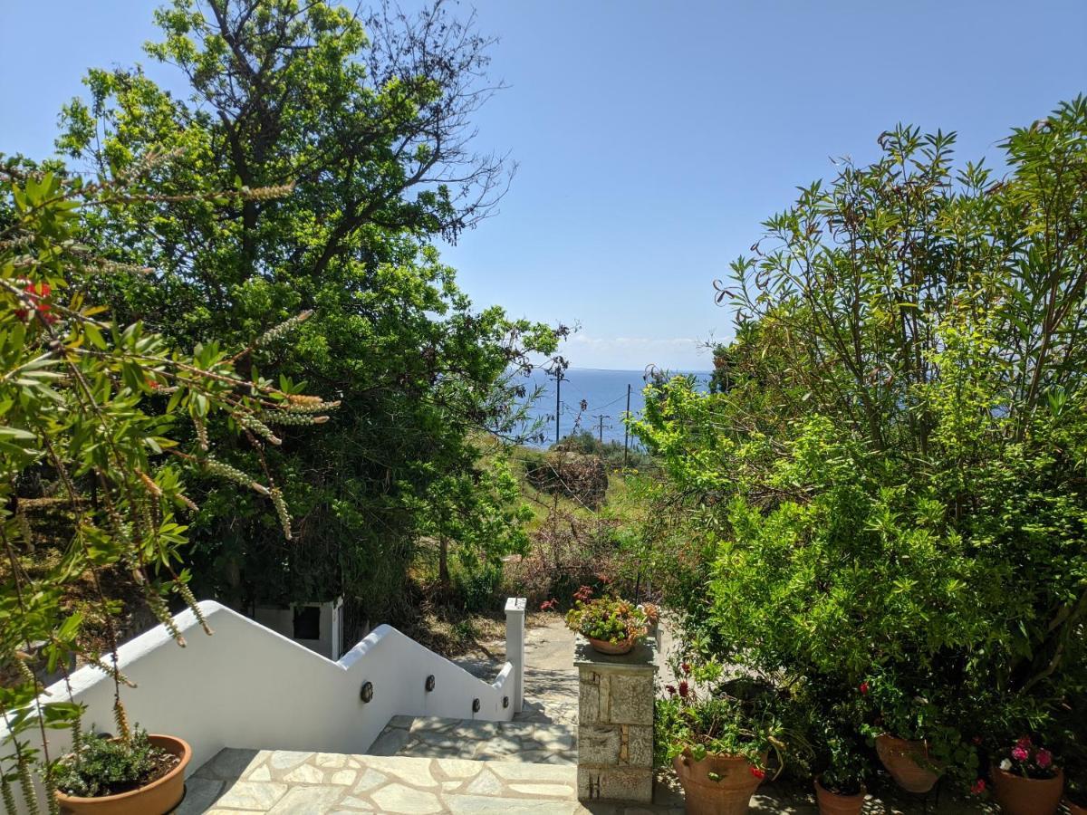 Oikia Guesthouse Stafylos Zewnętrze zdjęcie